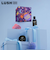 LUSH スターリーナイト ギフト クリスマス 限定 2025 プレゼント バス用品 バスボム 入浴剤 コフレ かわいい ヴィーガン コスメ ラッシュ 公式