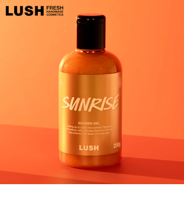 サンライズ シャワージェル ニューイヤー 新年 2025年 ご挨拶 お礼 新商品年賀ギフト  ボディソープ  ヴィーガン