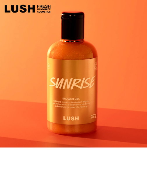 サンライズ シャワージェル ニューイヤー 新年 2025年 ご挨拶 お礼 新商品年賀ギフト  ボディソープ  ヴィーガン