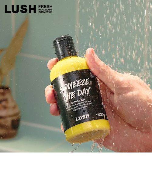 【シェリー】LUSH ボディソープ三本セット＋サブスク分 LUSH スクイーズザデイ シャワージェル 父の日 2026 限定 ボディソープ