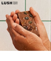 LUSH 秋の収穫 ソープ 固形石鹸 ボディソープ カボチャ 保湿 角質ケア ハロウィン 数量限定 ギフト プレゼント スキンケア スパイス 香り ラッシュ 公式