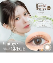 Angelcolor Bambi  Vintage 1day (エンジェルカラーバンビヴィンテージワンデー) 10枚入