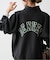Champion / チャンピオン REVERSE WEAVE(R) HALF ZIP SWEAT