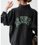 Champion / チャンピオン REVERSE WEAVE(R) HALF ZIP SWEAT