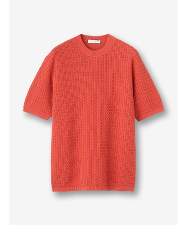 コットン半袖ニット