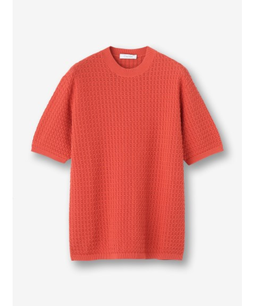 コットン半袖ニット