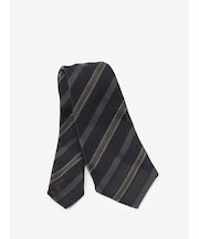 シルクレジメンタルタイ