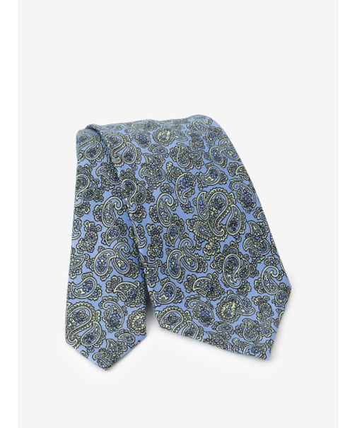 シルクペイズリータイ