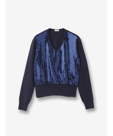 スパンコール Vネックニット