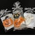 ﾊﾛｳｨﾝ ﾃﾞｺﾚｰｼｮﾝｸｯｷｰ ｾｯﾄ