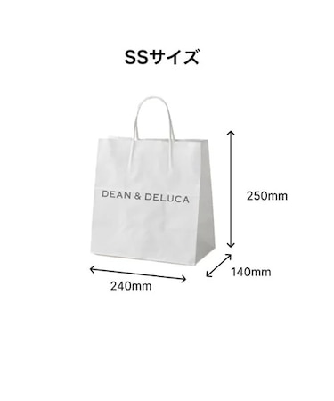 ﾛｺﾞ紙手提袋【SS】