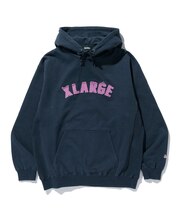ARCH LOGO PULLOVER HOODED SWEATSHIRT
