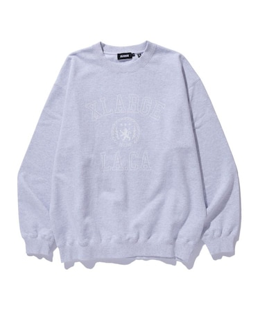 COLLEGE LOGO CREWNECK SWEATSHIRT