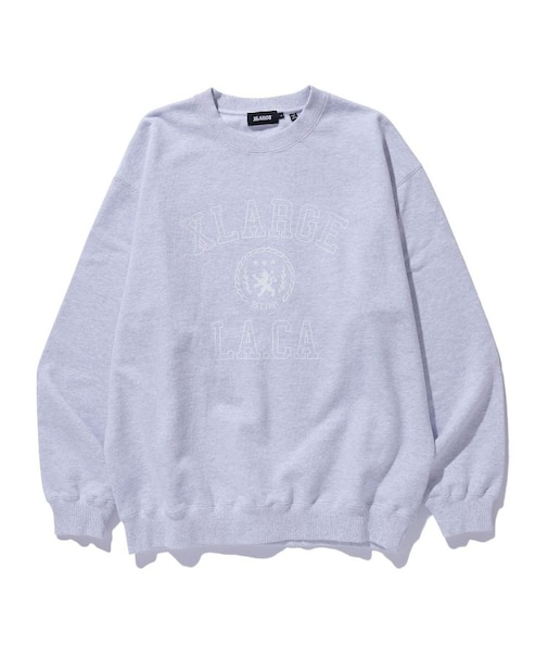 COLLEGE LOGO CREWNECK SWEATSHIRT