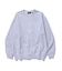 COLLEGE LOGO CREWNECK SWEATSHIRT