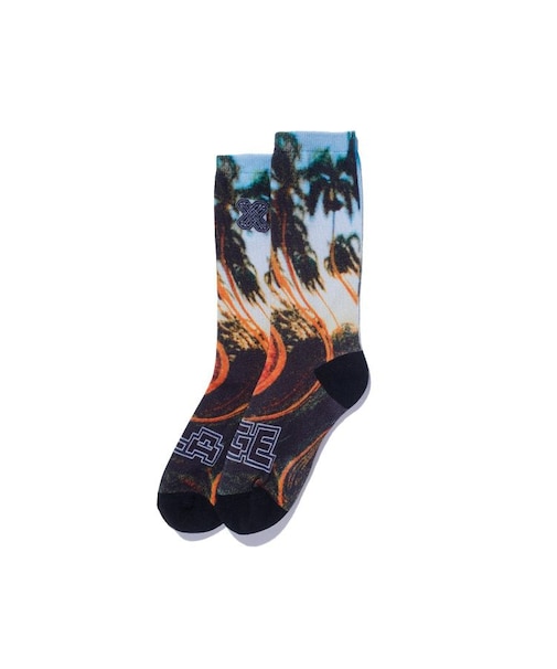 PALM TREE SOCKS