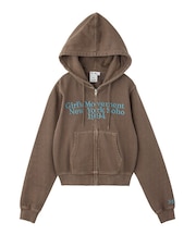 COLOR SCHEME COMPACT ZIP UP HOODIE