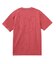 PIGMENT DYED HEART AND LOGO S/S TEE