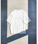 SHEER STRIPE S/S TOP