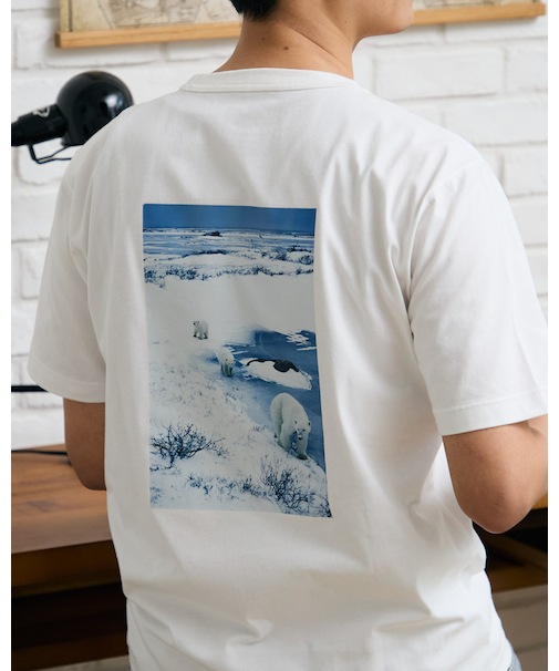 シロクマＴシャツ
