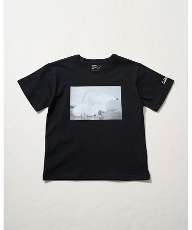 シロクマTシャツ