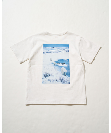シロクマTシャツ