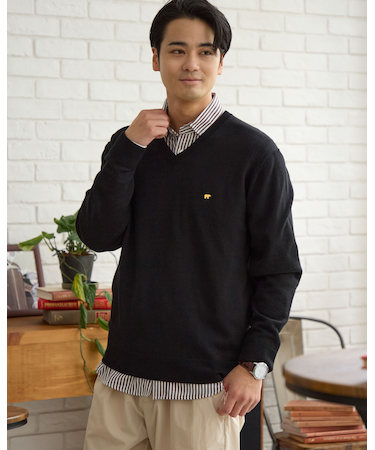 無地Vネックニット