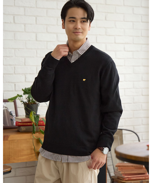 無地Vネックニット