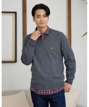 無地Vネックニット