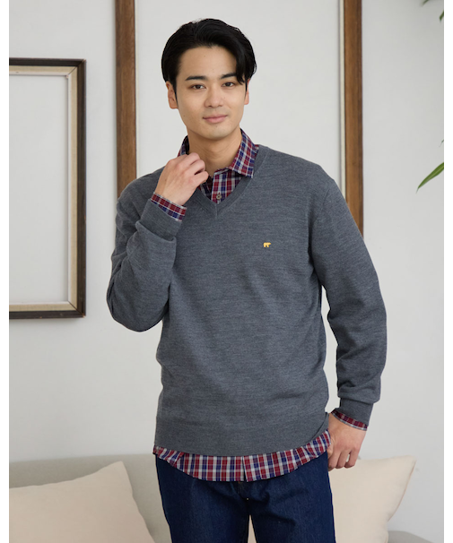 無地Vネックニット