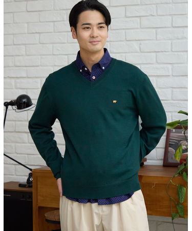 無地Vネックニット