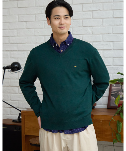 無地Vネックニット