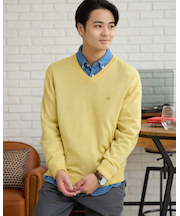 無地Vネックニット