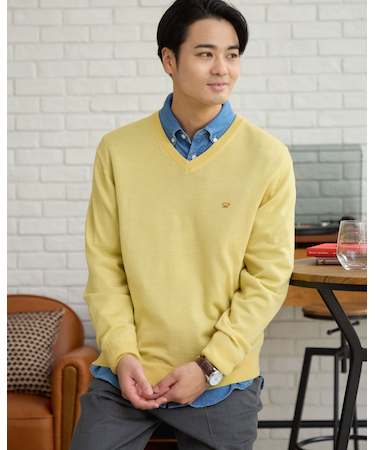 無地Vネックニット