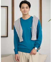 無地クルーネックニット