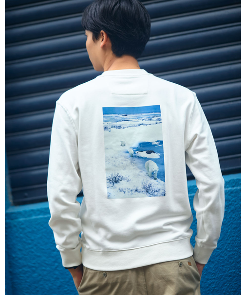 シロクマスウェット