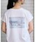 オーガニックコットンTシャツ