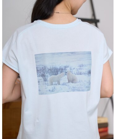 オーガニックコットンTシャツ
