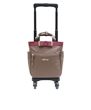 D577ルバンド ミニ3 ショッピングキャリー [SWANY][スワニー]