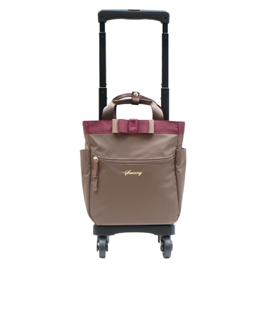 D577ルバンド ミニ3 ショッピングキャリー [SWANY][スワニー]