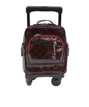 D591-TS15エマイロVI  T2キャスター・4輪ストッパー付 [SWANY][スワニー]