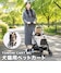 ベージュ