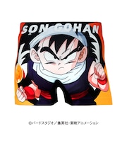 ドラゴンボールZ　ポリエステルアンダーパンツ