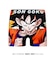 ドラゴンボールZ　キッズ　ポリエステルアンダーパンツ
