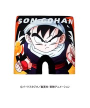 ドラゴンボールZ　キッズ　ポリエステルアンダーパンツ
