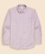 コットン　フランネル　キャンディストライプ　カジュアルシャツ　Regular Fit