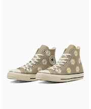 ALL STAR (R) DAISYFLOWER HI