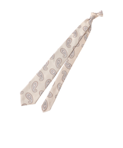 【Nikkei magazine掲載】ネクタイ/ペイズリー柄