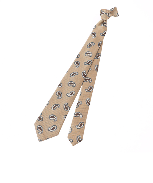 ネクタイ/中紋柄（ペイズリー）