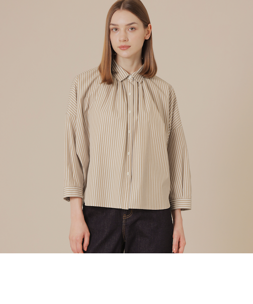 コットンストライプドルマンシャツ